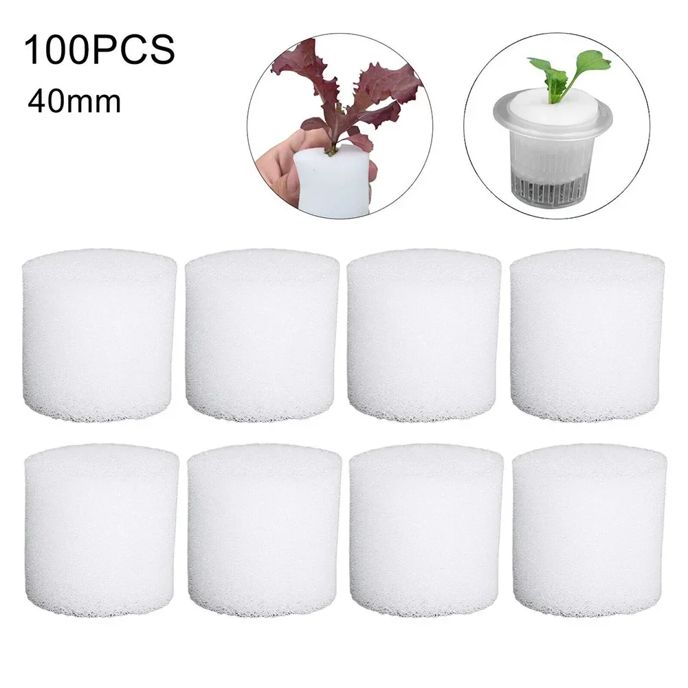100PCS Soilless Hydroponic Spo - Hydroponic Grow Pod 评论和价格