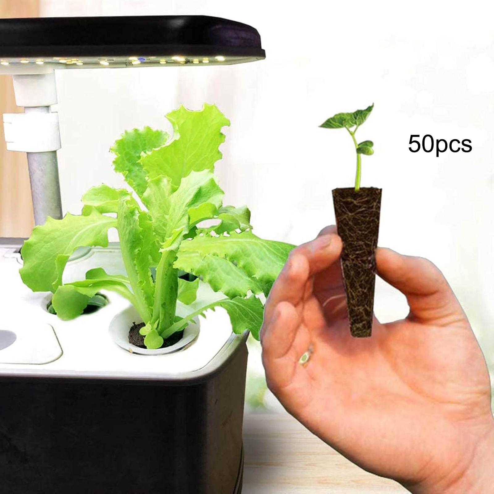 50Pcs Grow Sponges Root Growth - Hydroponic Grow Pod 评论和价格