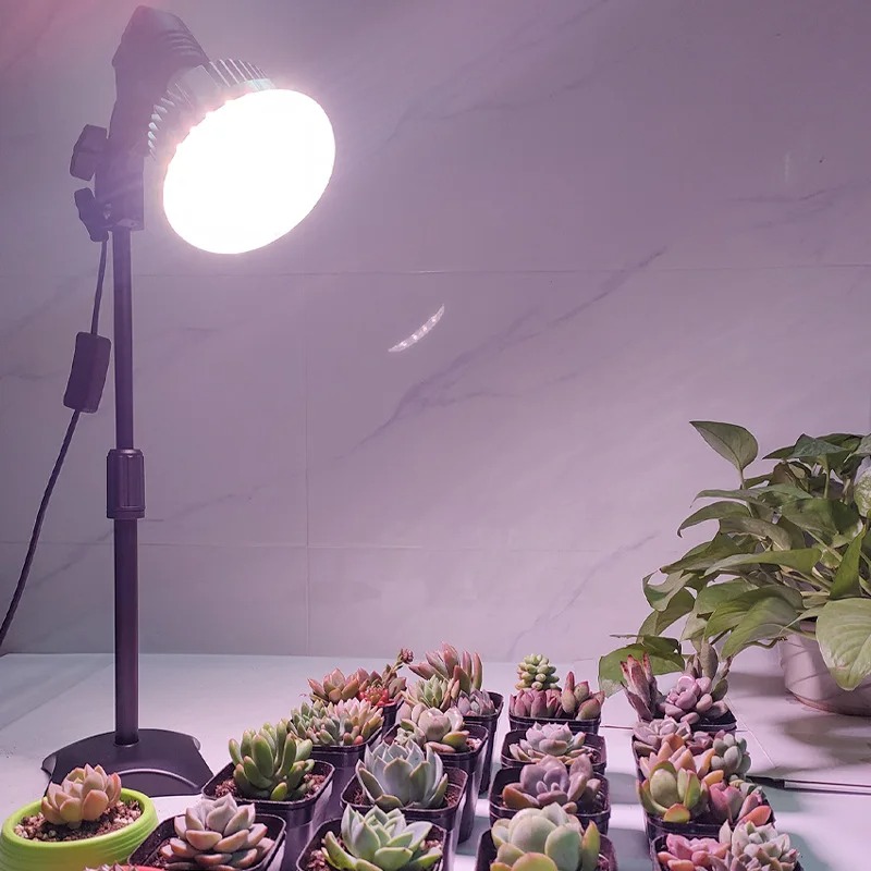 Foldable & Hanging Plant Grow  - Plant Grow Light Full Spectrum 评论和价格
