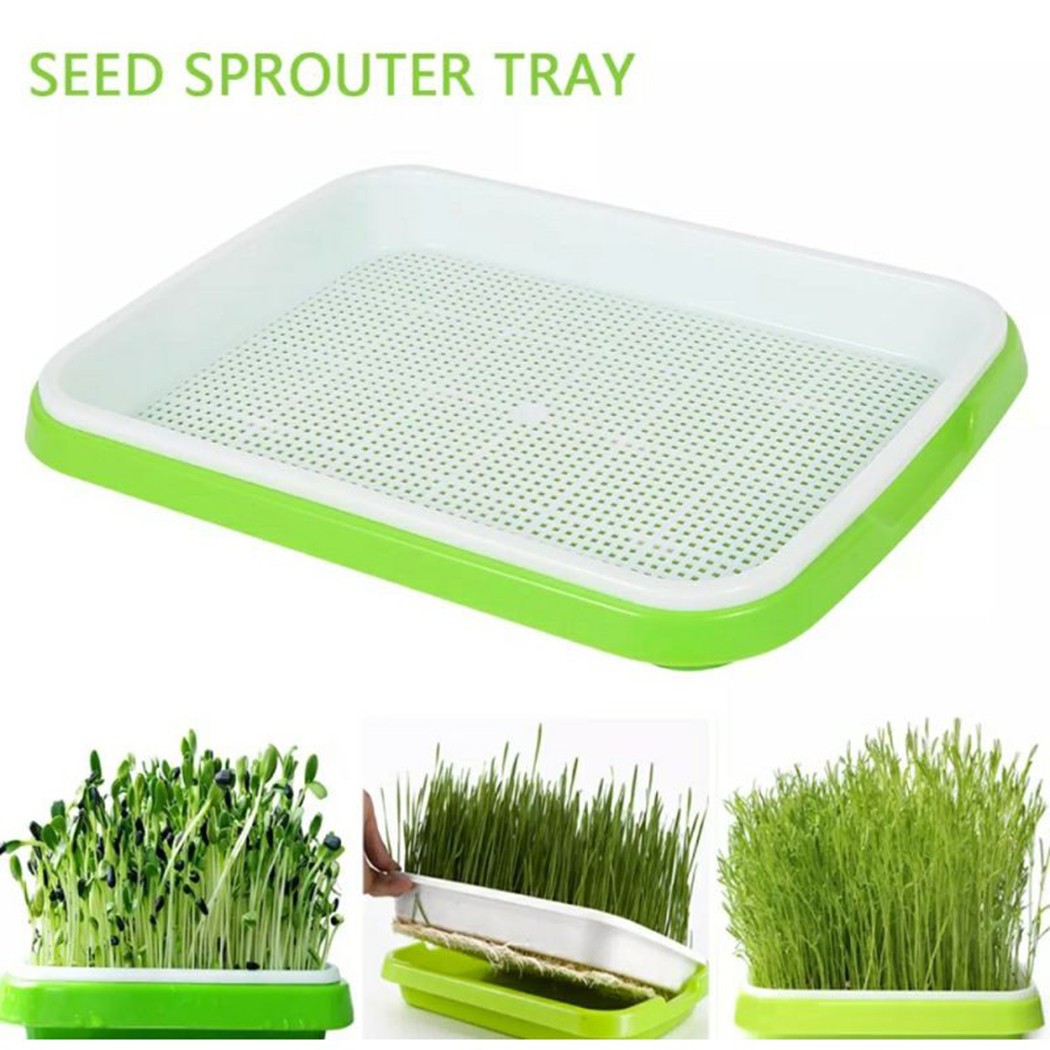Microgreens Sprouter Tray Hydr - Hydroponic Grow Pod 评论和价格