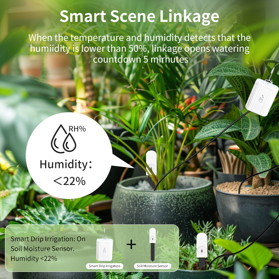 Smart Zigbee 3.0 Soil Tester H - Plant Sensor 评论和价格
