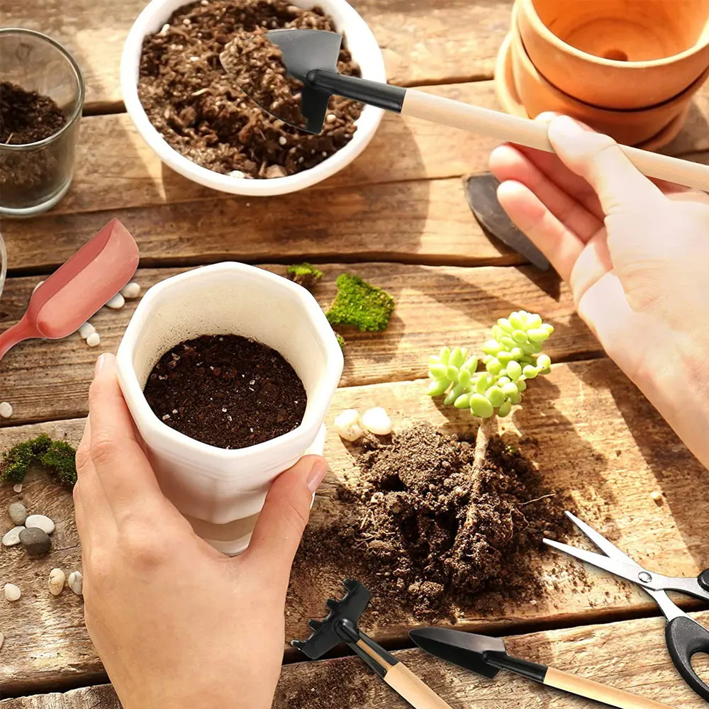 13PCS Succulent Plants Tool Se - Indoor Garden Kit 评论和价格