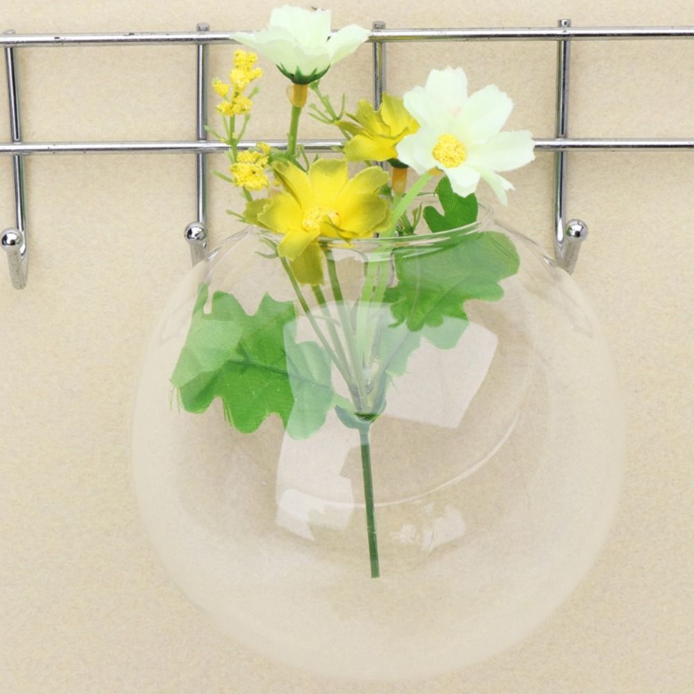 Transparent Glass Vase Wall Ha - Hydroponic Grow Pod 评论和价格
