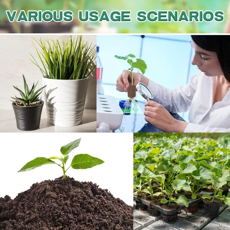 Seedling Starter Sponge Kit fo - Indoor Garden Kit 评论和价格