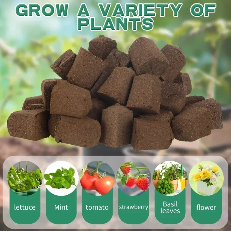 Seedling Starter Sponge Kit fo - Indoor Garden Kit 评论和价格