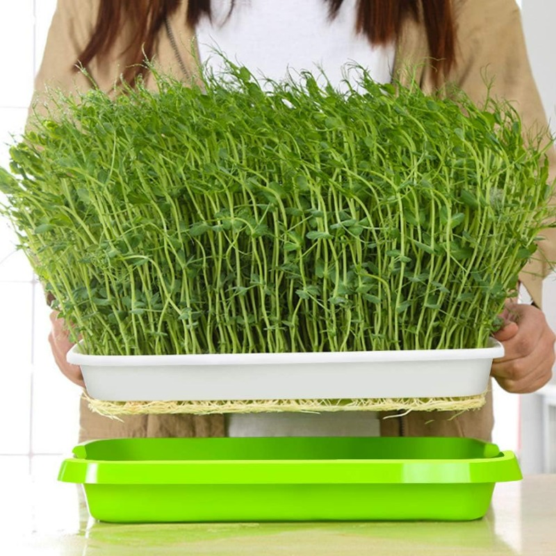 Microgreens Sprout Tray Germin - Hydroponic Grow Pod 评论和价格