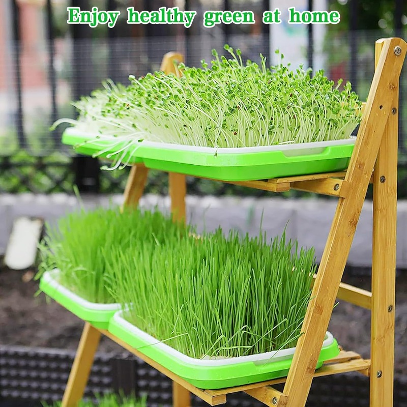 Microgreens Sprout Tray Germin - Hydroponic Grow Pod 评论和价格