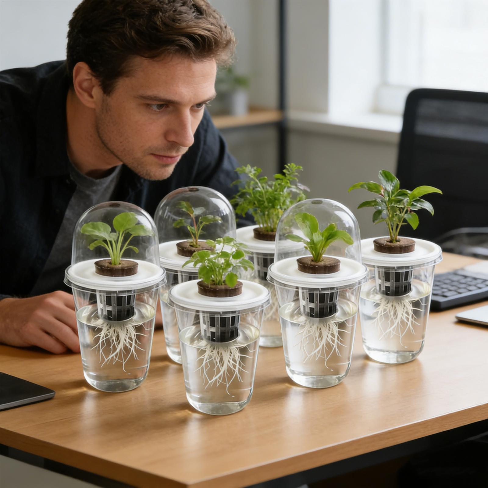 1-5pc Visible Clear Plants Ger - Hydroponic Grow Pod 评论和价格