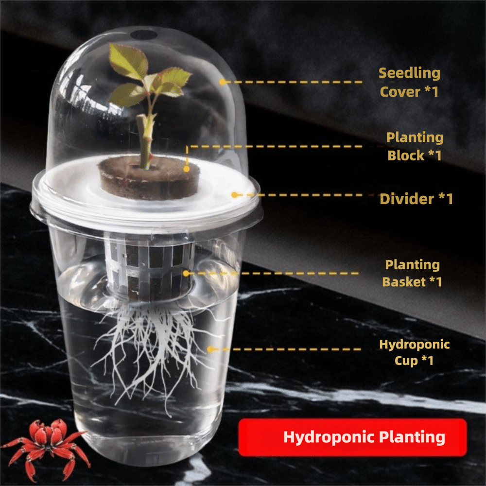 1-5pc Visible Clear Plants Ger - Hydroponic Grow Pod 评论和价格