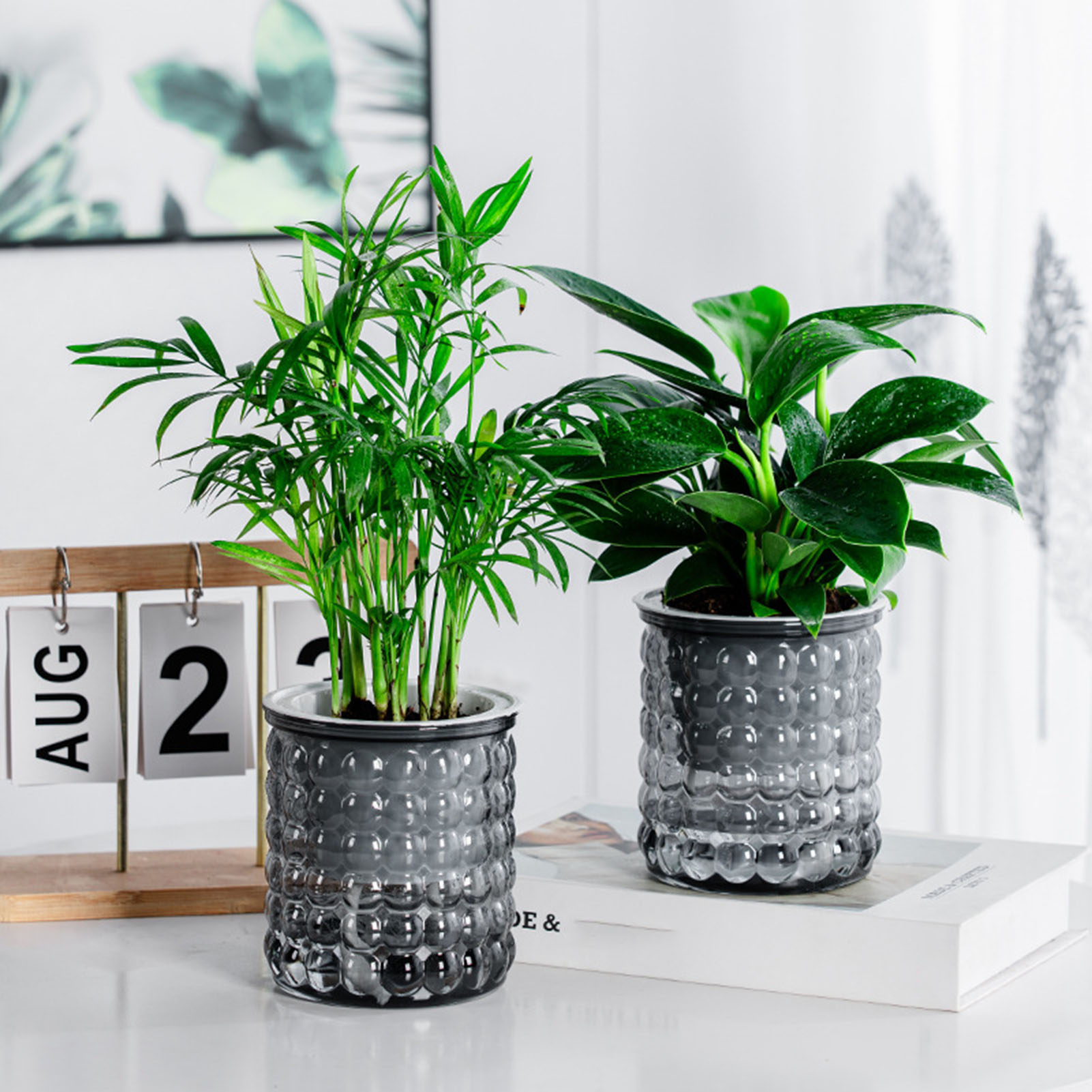 New Self Watering Hydroponic P - Hydroponic Grow Pod 评论和价格