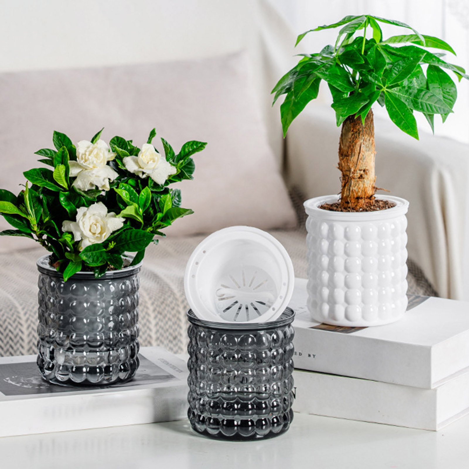 New Self Watering Hydroponic P - Hydroponic Grow Pod 评论和价格