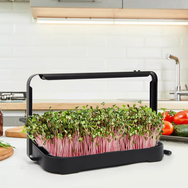 Hydroponic Tray Indoor Microgr - Smart Garden Kit 评论和价格