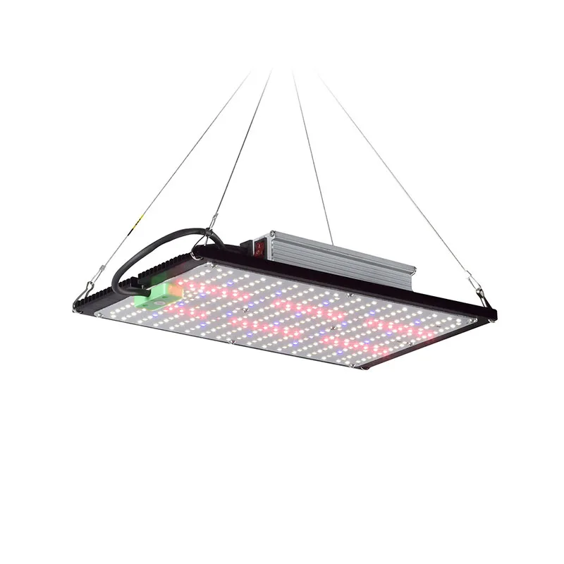 LED Quantum‑Board Grow Light F - Plant Grow Light Full Spectrum 评论和价格