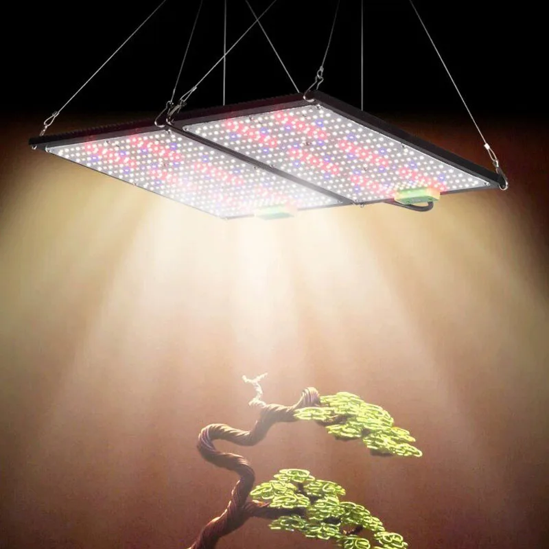 LED Quantum‑Board Grow Light F - Plant Grow Light Full Spectrum 评论和价格
